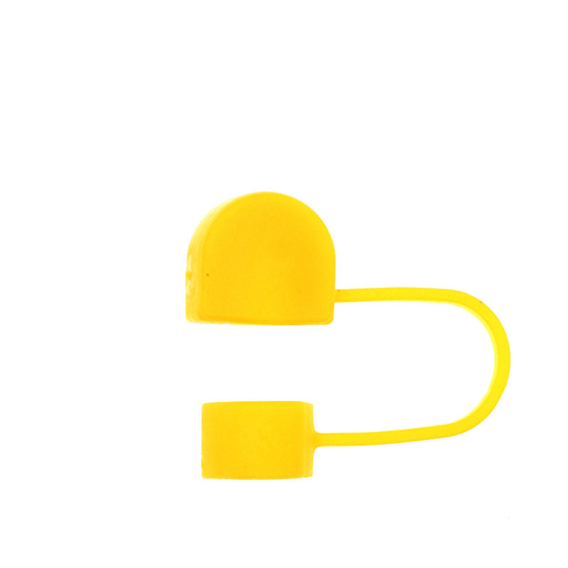 Colorful Arches Straw Cap
