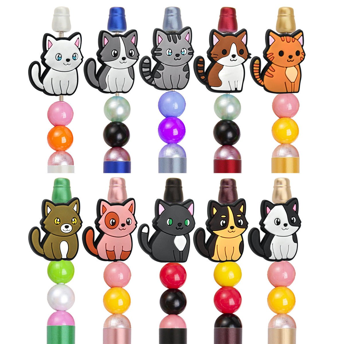 cat focal