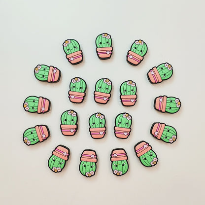 cactus focal